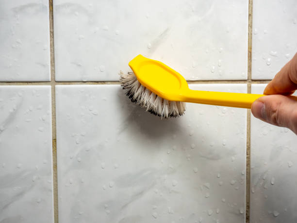 Professional Mold Remediation in Sonora, TX