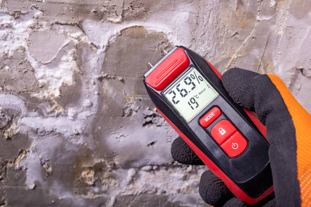 Best Bathroom Mold Remediation in Sonora, TX