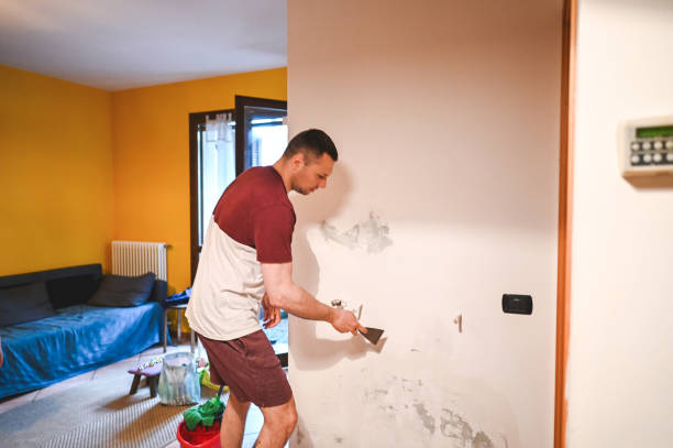 Best Localized Mold Remediation (e.g., coastal areas, humid climates) in Sonora, TX